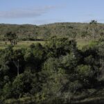 viva-maria-reforca-campanha-pela-protecao-do-cerrado
