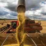 queda-no-preco-dos-alimentos-vai-permanecer,-diz-ministro