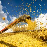 valor-da-producao-agricola-brasileira-recua-3,9%-em-2024,-mostra-ibge