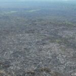 desmatamento-na-amazonia-passa-a-ser-monitorado-em-areas-sem-floresta