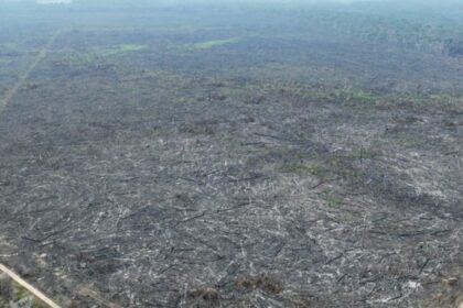 desmatamento-na-amazonia-passa-a-ser-monitorado-em-areas-sem-floresta