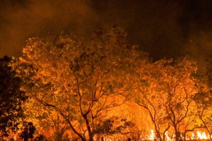 estado-de-sao-paulo-esta-na-semana-de-maior-risco-para-incendios