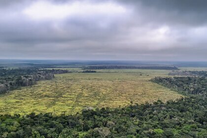 em-40-anos,-amazonia-perdeu-equivalente-ao-territorio-da-franca