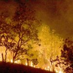 brasil-quer-neutralizar-emissao-de-gases-de-efeito-estufa-ate-2050