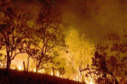 brasil-quer-neutralizar-emissao-de-gases-de-efeito-estufa-ate-2050