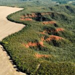 cerrado-perdeu-249-mil-hectares-de-area-de-rios-e-lagos-em-40-anos