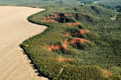 cerrado-perdeu-249-mil-hectares-de-area-de-rios-e-lagos-em-40-anos
