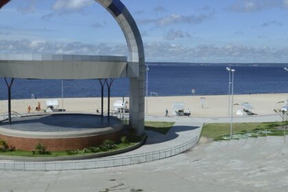 policia-ambiental-resgata-onca-pintada-ferida-por-tiros-no-rio-negro