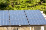 ceara:-associacao-alerta-para-avanco-de-usinas-solares-na-caatinga
