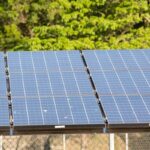 ceara:-associacao-alerta-para-avanco-de-usinas-solares-na-caatinga