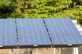 ceara:-associacao-alerta-para-avanco-de-usinas-solares-na-caatinga