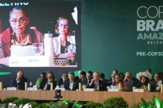 viva-maria:-cns-comemora-40-anos-na-pre-cop