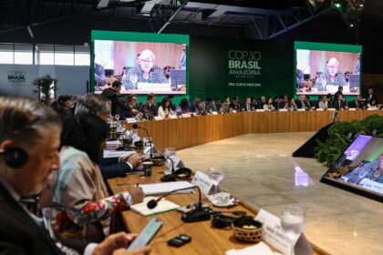pre-cop-mapeia-423-projetos-ativos-que-contribuirao-com-acoes-do-clima