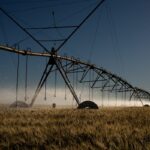stf-retoma-julgamento-sobre-beneficios-fiscais-para-agrotoxicos