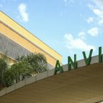 anvisa-restringe-venda-de-azeite,-sal-do-himalaia-e-cha;-confira