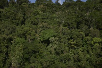 trilha-na-amazonia,-com-460-km,-sera-inaugurada-na-cop30