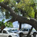 cidades-verdes,-do-ministerio-do-meio-ambiente,-recebe-323-iniciativas