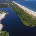 mapbiomas-aponta-que-mata-atlantica-perdeu-11,5%-de-area-em-40-anos