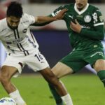 palmeiras-joga-futuro-na-libertadores-diante-da-ldu