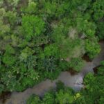 fronteira-cerrado:-ativistas-querem-bioma-“igualado”-a-amazonia