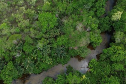 fronteira-cerrado:-ativistas-querem-bioma-“igualado”-a-amazonia