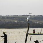 gestao-do-seguro-defeso-passa-oficialmente-ao-ministerio-do-trabalho