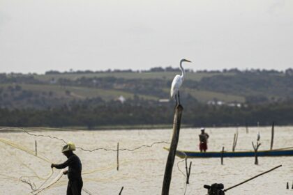 gestao-do-seguro-defeso-passa-oficialmente-ao-ministerio-do-trabalho