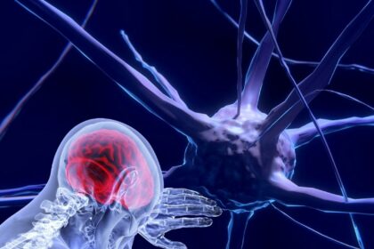 unesco-faz recomendacao-inedita-para-uso-etico-da-neurotecnologia