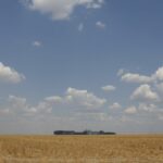 fronteira-cerrado:-desenvolvimento-e-destruicao-no-agronegocio