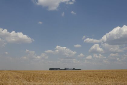 fronteira-cerrado:-desenvolvimento-e-destruicao-no-agronegocio