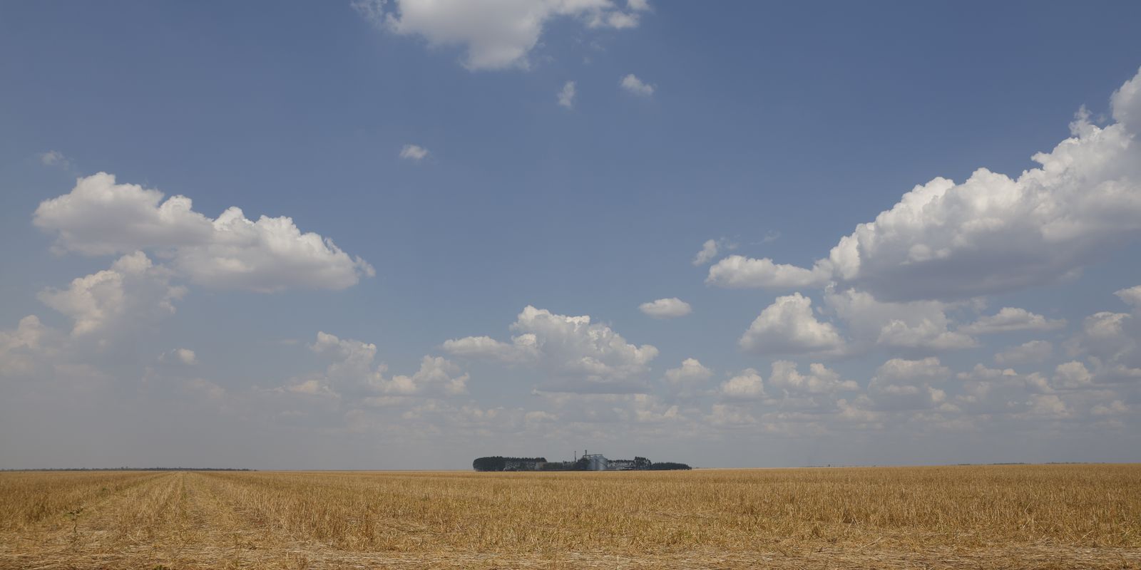 fronteira-cerrado:-desenvolvimento-e-destruicao-no-agronegocio