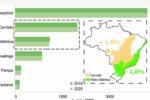 ibge-revisa-limites-de-cerrado-e-mata-atlantica-entre-minas-e-sp