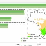 ibge-revisa-limites-de-cerrado-e-mata-atlantica-entre-minas-e-sp