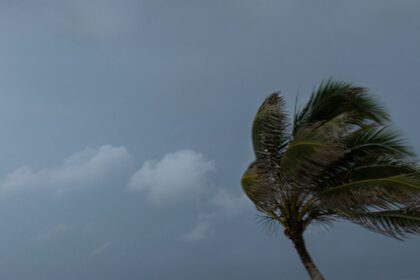 chuvas-atingem-norte,-nordeste-e-litorais-de-sul-e-sudeste-esta-semana