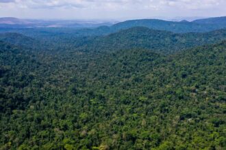 desmatamento-no-amazonas-caiu-32%-entre-agosto-e-fevereiro-deste-ano
