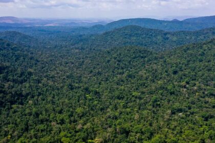 desmatamento-no-amazonas-caiu-32%-entre-agosto-e-fevereiro-deste-ano