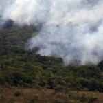 brasil-queimou-mais-de-185-milhoes-de-hectares-de-biomas-em-38-anos