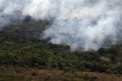 brasil-queimou-mais-de-185-milhoes-de-hectares-de-biomas-em-38-anos
