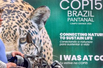 cop15-inclui-mais-40-especies-migratorias-em-lista-de-protecao