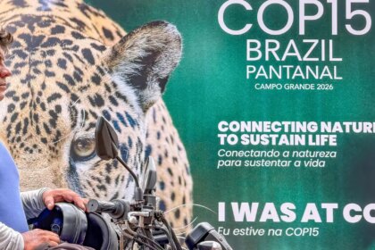 cop15-inclui-mais-40-especies-migratorias-em-lista-de-protecao