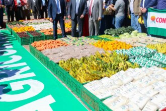 viva-maria-se-despede-da-feira-nacional-da-agricultura-familiar