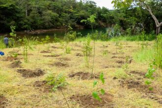 serrinha-do-paranoa-(df)-vira-parque-para-proteger-ecossistemas
