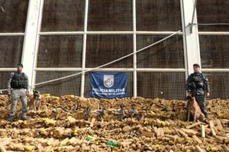 rj:-operacao-na-mare-apreende-recorde-de-48-toneladas-de-drogas