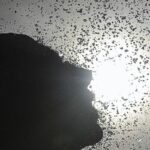 fenomeno-el-nino-deve-atingir-pico-no-fim-do-ano