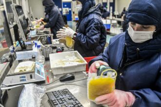 dia-mundial-da-hemofilia:-campanha-reforca-importancia-do-diagnostico