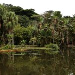 viva-maria-discute-o-papel-do-jornalismo-na-preservacao-ambiental