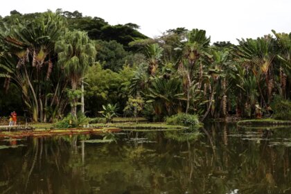 viva-maria-discute-o-papel-do-jornalismo-na-preservacao-ambiental