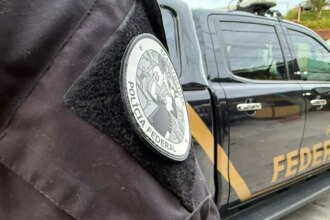 pf-apreende-mais-de-duas-toneladas-de-maconha-prensada-no-parana