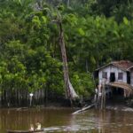 projeto-leva-tratamento-gratuito-a-doencas-negligenciadas-no-amazonas