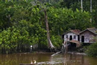 projeto-leva-tratamento-gratuito-a-doencas-negligenciadas-no-amazonas